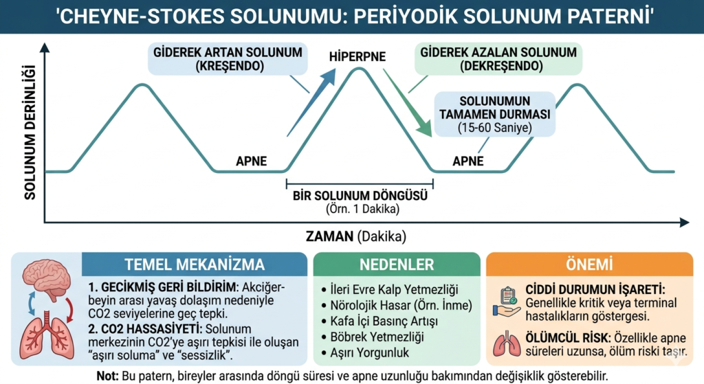 Cheyne-Stokes Solunumu